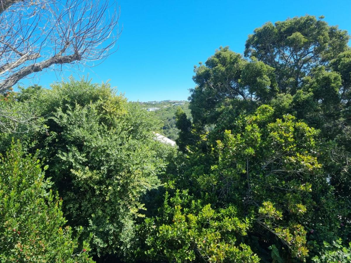 Modern Solar Powered 1 Bed Studio Apartment With Amazing Views Plettenberg Bay Extérieur photo